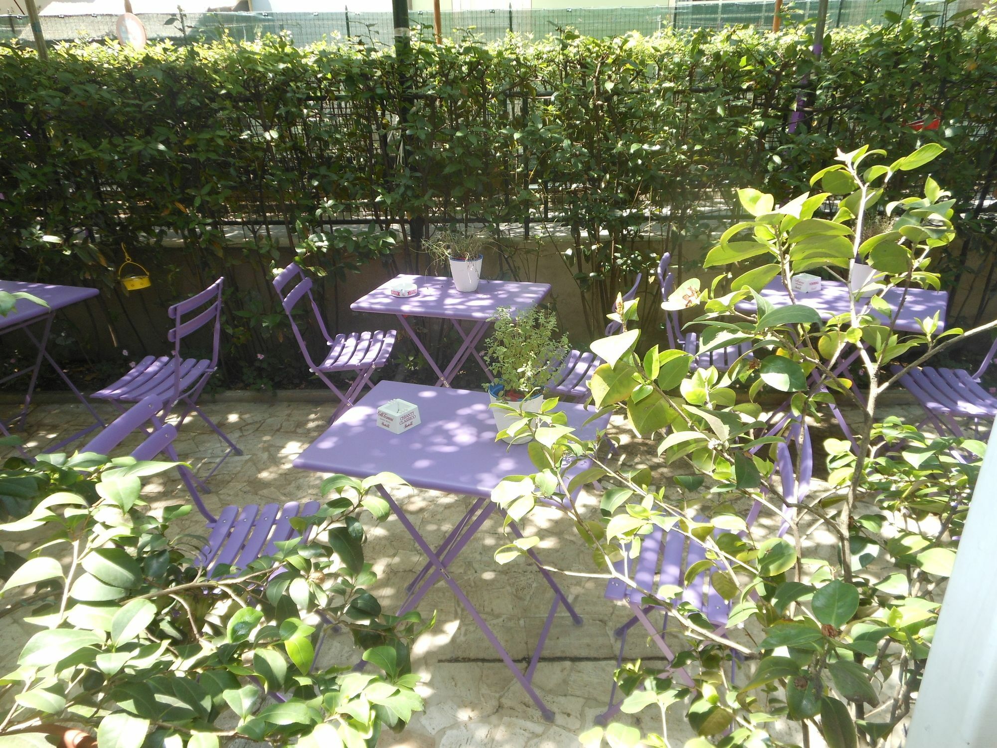 Hotel Stipino Lucca Eksteriør billede