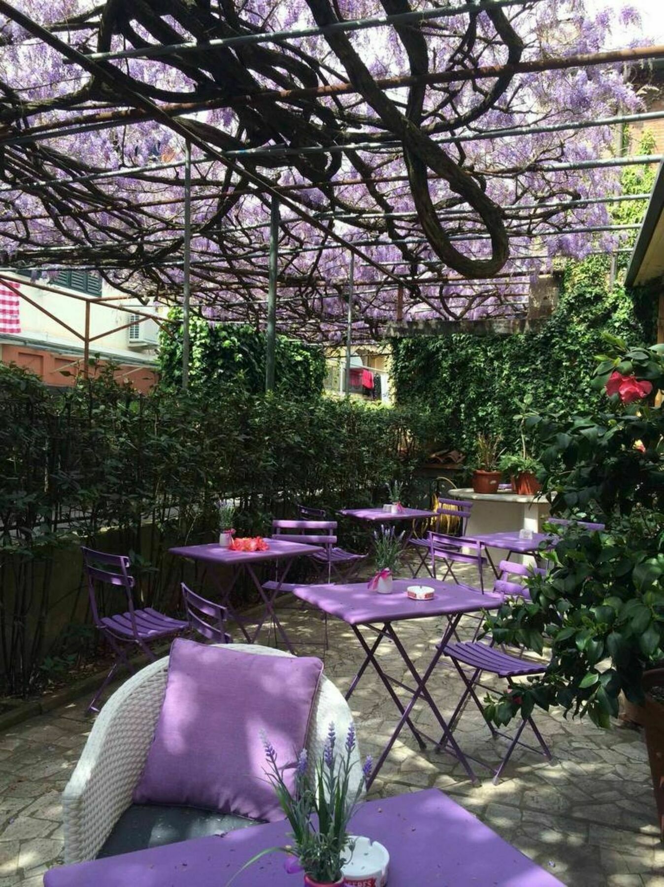 Hotel Stipino Lucca Eksteriør billede